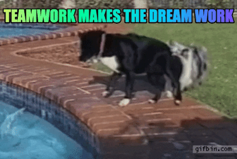 Image result for teamwork makes the dream work gif
