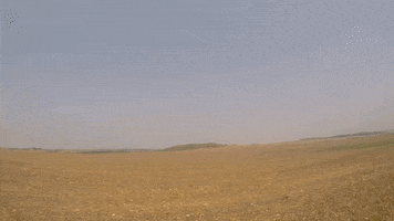 iaprisma GIF