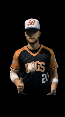 Bergen Bulldogs Baseball GIF