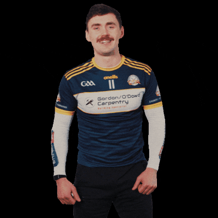 All-Ireland GIF by AIB