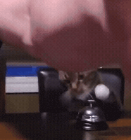 Ringing Bell GIF