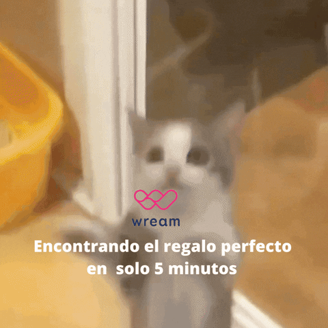 Happy Cats GIF by WREAM