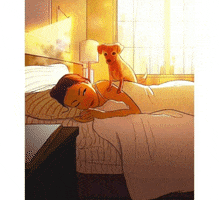 StudioNR GIF