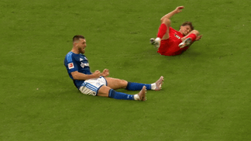Celebration Bundesliga GIF by FC Schalke 04