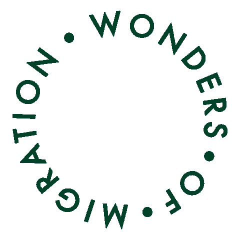 Sticker by SWAROVSKI OPTIK