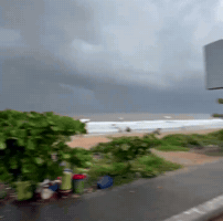 Beach Side GIF