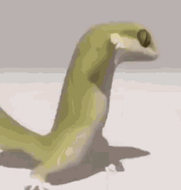 Dancing GIF