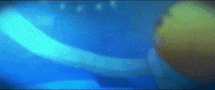 Water Swimming GIF by Easy Life