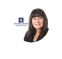 Nan and Company Properties Sticker