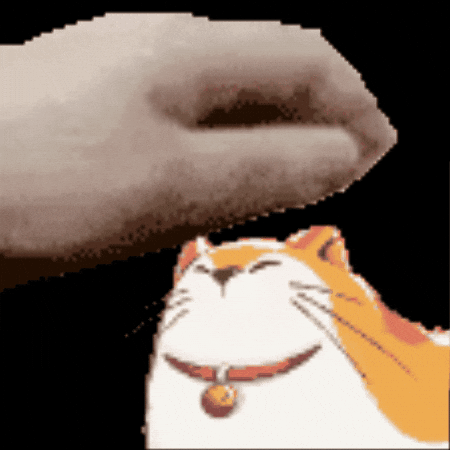 Cat Pet GIF by GungHo America