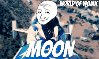 To The Moon Meme GIF by World of Wojak