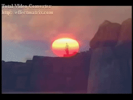edding-edding  GIF