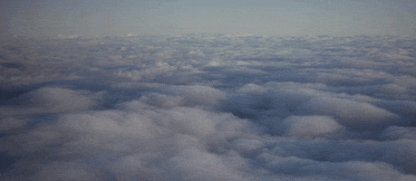 flying san francisco GIF by hateplow