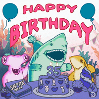 Celebrate Happy Birthday GIF by Shark Week