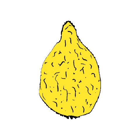 Jewish Sukkot Sticker