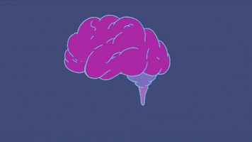 nervous brain GIF by Massive Science