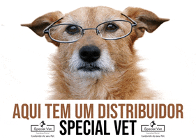 specialvetoficial dog pet cachorro inteligente GIF