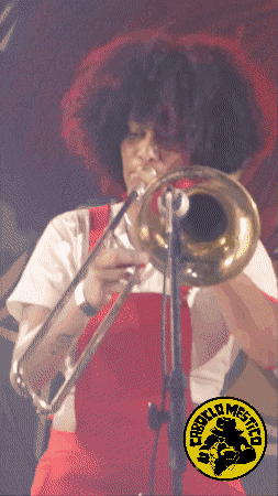 Coco Nordeste GIF by Caboclo Mestiço