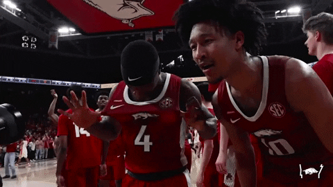 Hog GIF by Arkansas Razorbacks - Find & Share on GIPHY