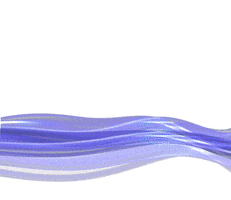 Zen Digital Media GIF