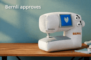 Say Yes Nod GIF by BERNINA International AG