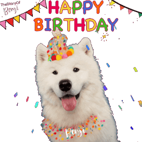 Happy Birthday Party Sticker