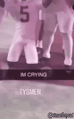 South Carolina Alabama GIF