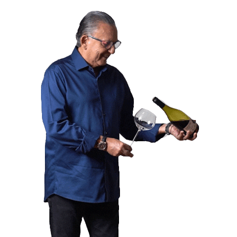 Galvão Bueno Sticker