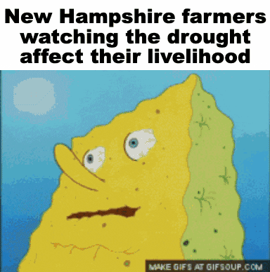 SpongeBob gif. At the top, the header reads, “New Hampshire farmers watching the drought affect their livelihood.” SpongeBob sits at a picnic table, looking panicked, and yells, “I need it!” He then shoots upward and begins to sweat profusely as he stares at the phrase “Climate Change Legislation” and says, “Why do I need it?” Then, his bloodshot eyes bulge as he looks again at the phrase, “Climate Change Legislation,” and says, “I didn’t need it before!”