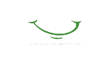 Shs Smile Sticker by Spring Hill Smiles