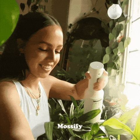 Dance Love GIF by Mossify