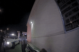tyscholes  GIF