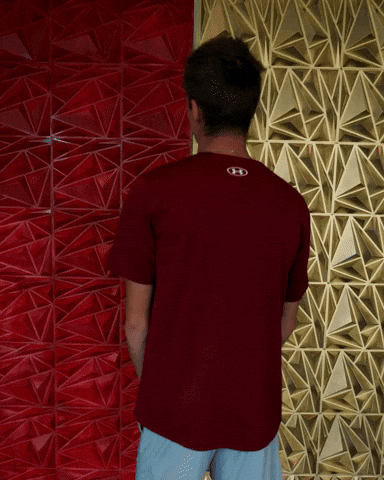 Elon Mens Tennis GIF by Elon Phoenix