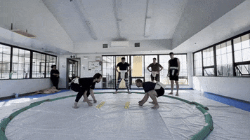 Sumo GIF