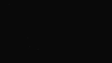REJECT THE SICKNESS - The Plague Of Life - YouTube