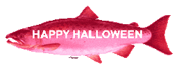 Halloween Rainbow Sticker