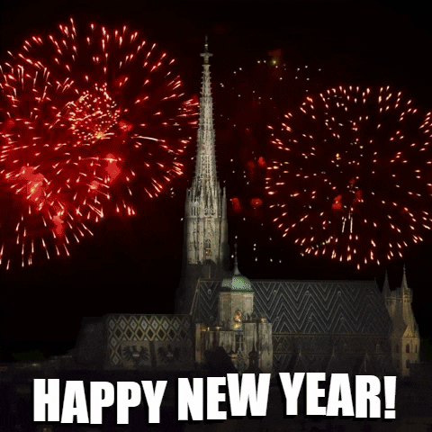 fogos de artifício de ano novo feliz GIF by ViennaTouristboard