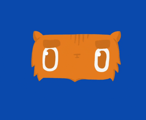 The Catnip Project Gifs On Giphy Be Animated