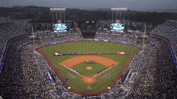 La Dodgers Sport GIF by MLB