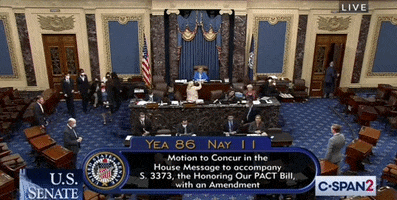 Senate GIF by GIPHY News