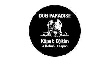 Dog Paradise Sticker by Dostum Güvende