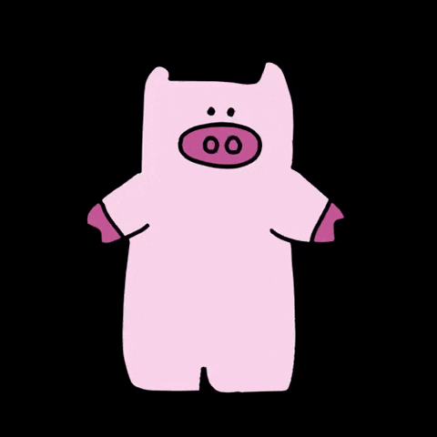 Pig Idk GIF