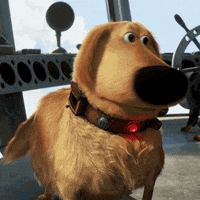 golden retriever dog GIF by Disney