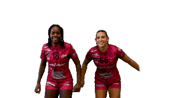 Handball Lfh Sticker by hbcam