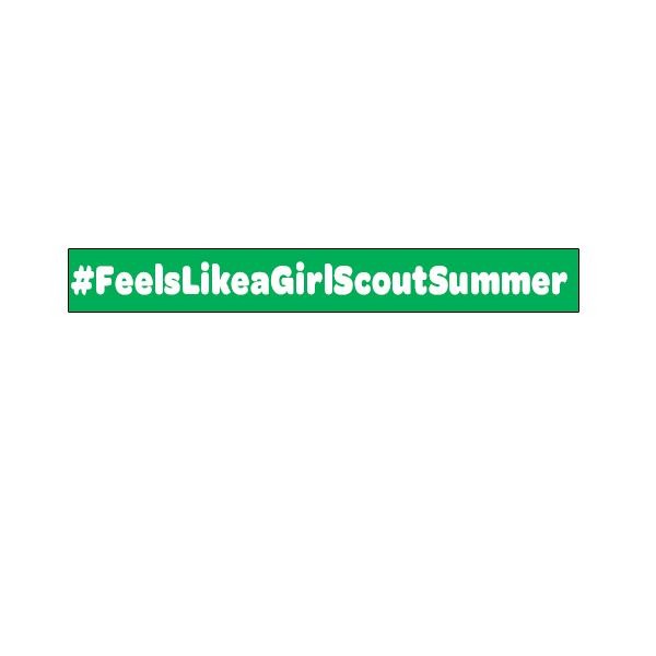 Summer Camp Fun Sticker by GSGNY