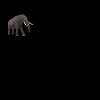 Elephant Crescendo GIF by Manada Criativa