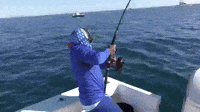 Fishing Line GIFs - Find & Share on GIPHY