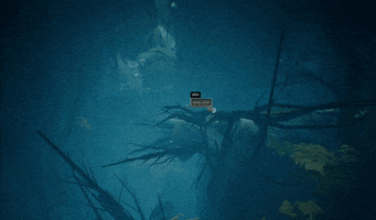 Where The Heart Is GIF