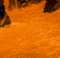 Scrooge Mcduck Animation GIF
