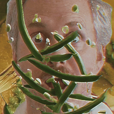 Green Beans Thanksgiving GIF by timmelideo